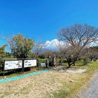 画像3607