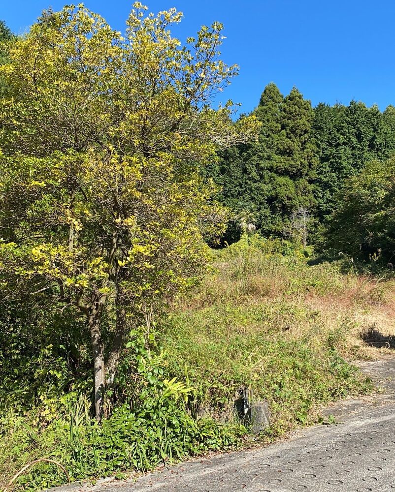 画像3608
