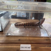 画像9775