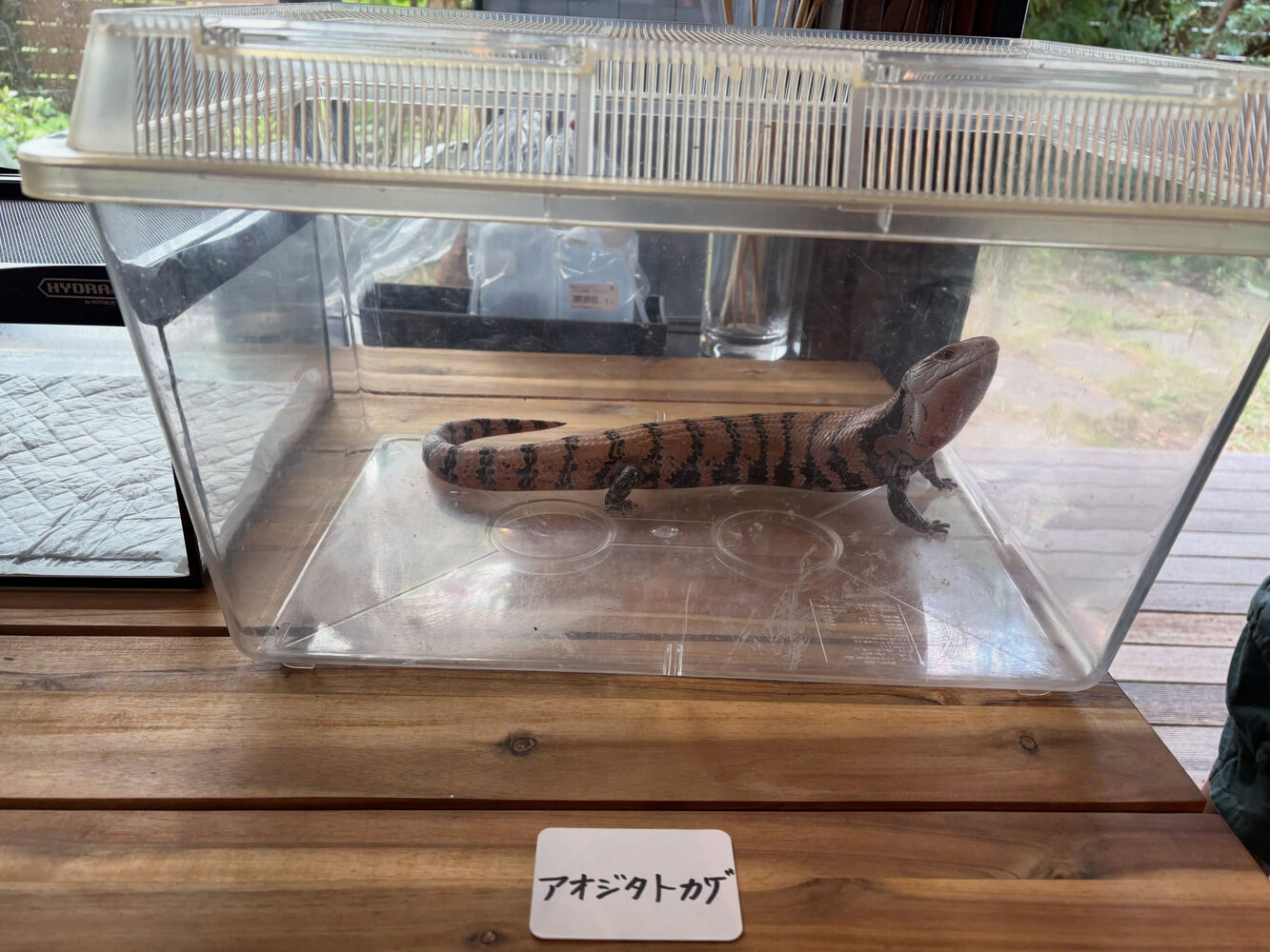 画像9775