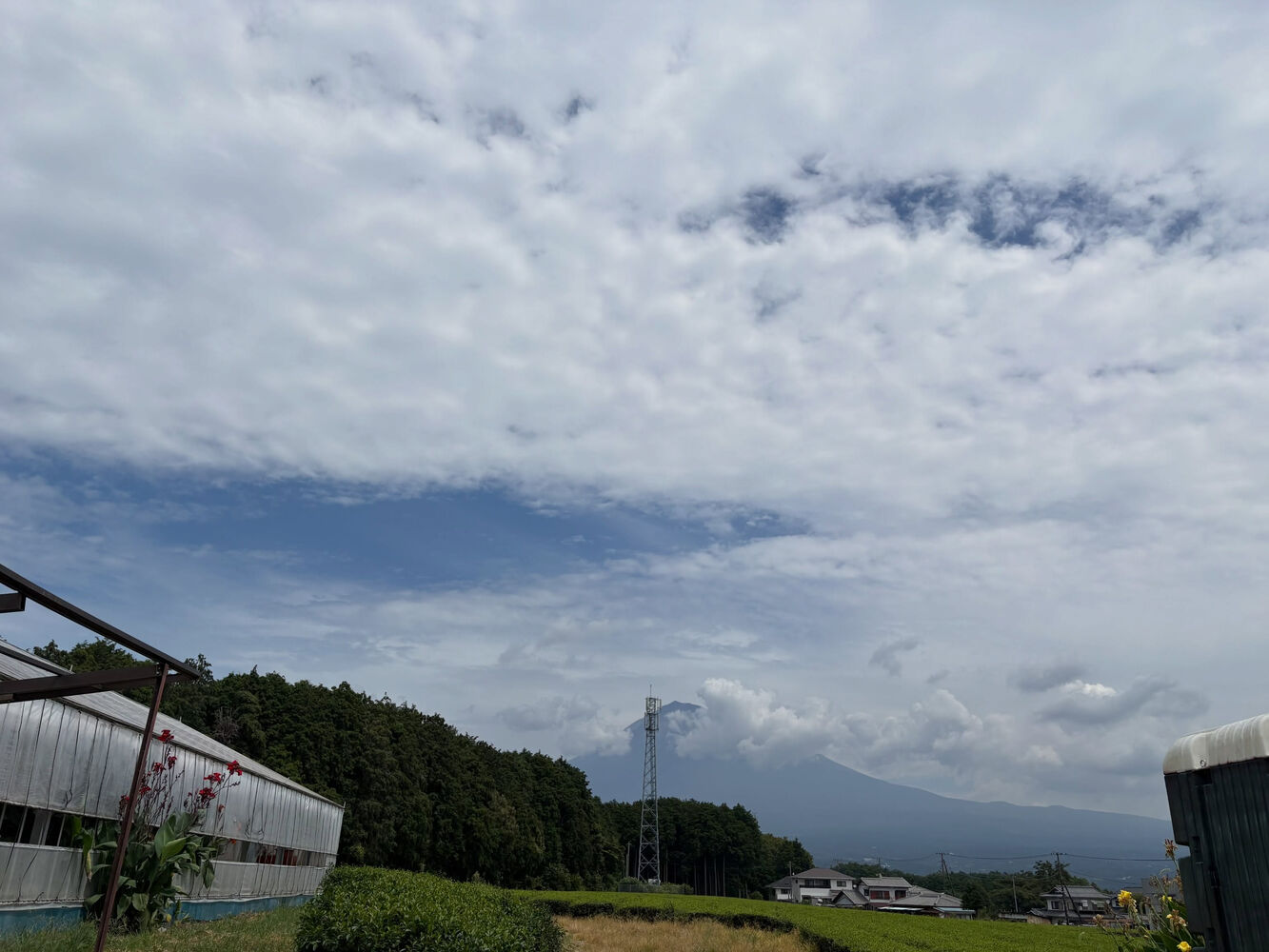 画像9894